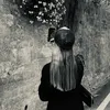 nanais_gnf