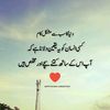 malikaliabbashaadi