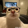 whattheheooooo
