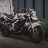 ownersiputih763