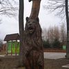 grizli2329
