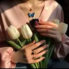 .mr091