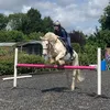 liz_t.13