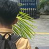 username27277275