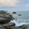 bao_jin_1247