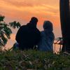 _r.wahyudi16