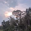 rayhansya_lozyy