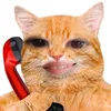 pablote_o56