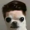 francislaso6_