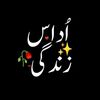 dilnashen23