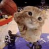ball1ngcat43