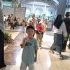 inces_fatt