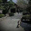 sgonmelon29