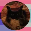 autumn.kittie
