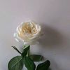 abdourahmanediallo134
