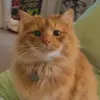 kat13558