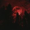 kaplya_krovi_.bot