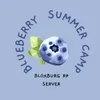 blueberrysummercamp