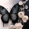 noura2138