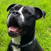 charlie60722