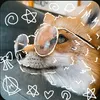blue_eyed.fox0