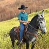gabrieltrs5