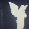harry_qwd