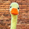 pato_nildo