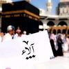 alaasaleh3049