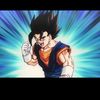 vegetto084