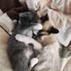 mily_13578