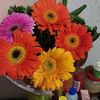 martha.cecilia.ra10