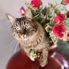 beatrice82di