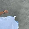 letrqvietbi