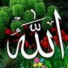 rahad0864