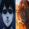 8wow_8