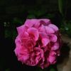 doyou0731