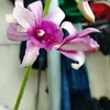 .tiktok.com.www_com