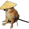 thangnguyen3773