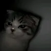 tnerbdc_