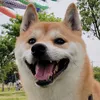 hiromaru.7.3