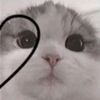 jeonnjungkookieee