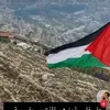 alaoui744