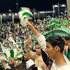 Alahli💚