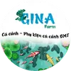 ginaguppyca7mau