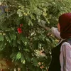 muio_8