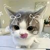 ila_pretty