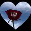 hodhod7605