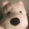 tonylipss