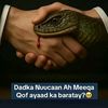 ilaaloqaran_1